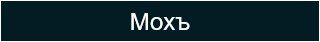 Мохъ